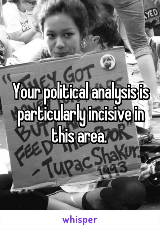 Your political analysis is particularly incisive in this area. 