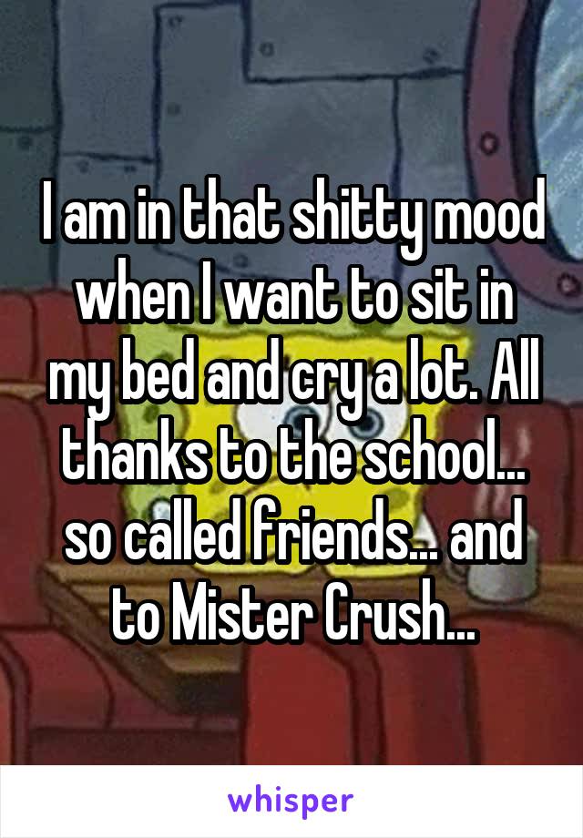 I am in that shitty mood when I want to sit in my bed and cry a lot. All thanks to the school... so called friends... and to Mister Crush...