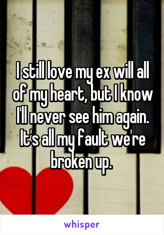 I still love my ex will all of my heart, but I know I'll never see him again. It's all my fault we're broken up. 