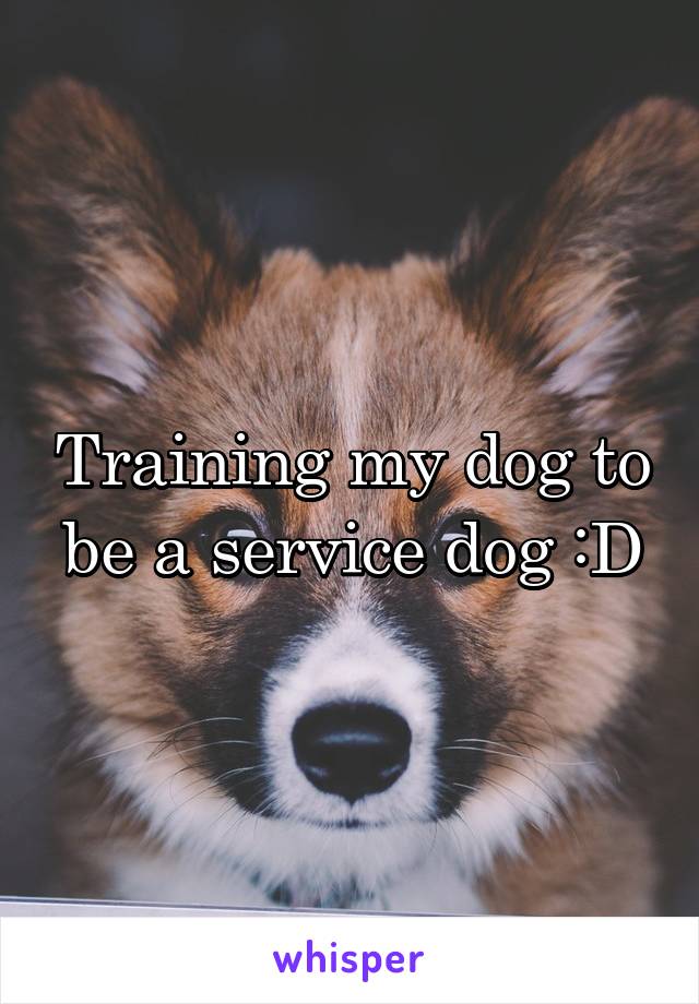 Training my dog to be a service dog :D
