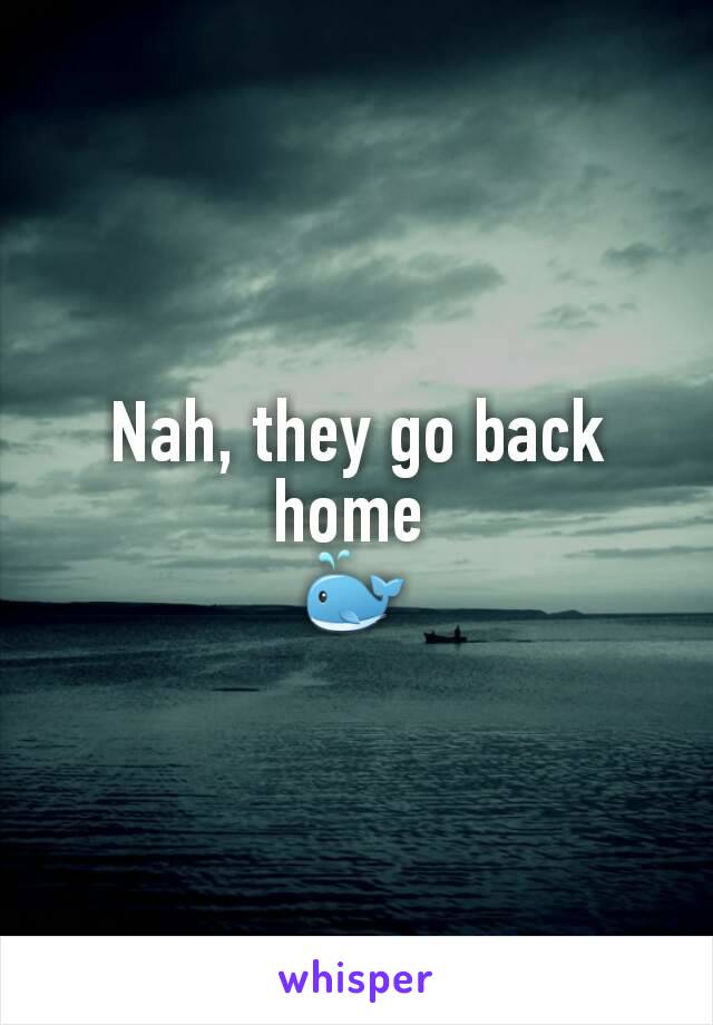 Nah, they go back home 
🐳