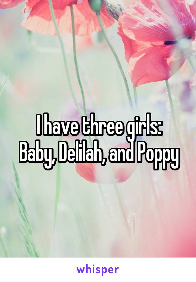 I have three girls:
Baby, Delilah, and Poppy