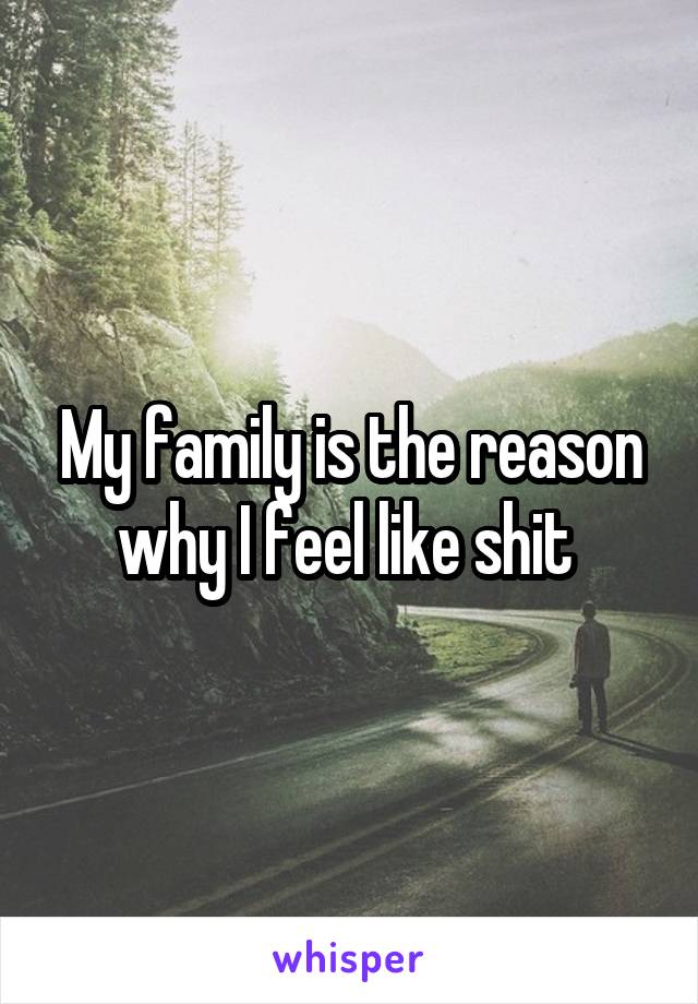 My family is the reason why I feel like shit 