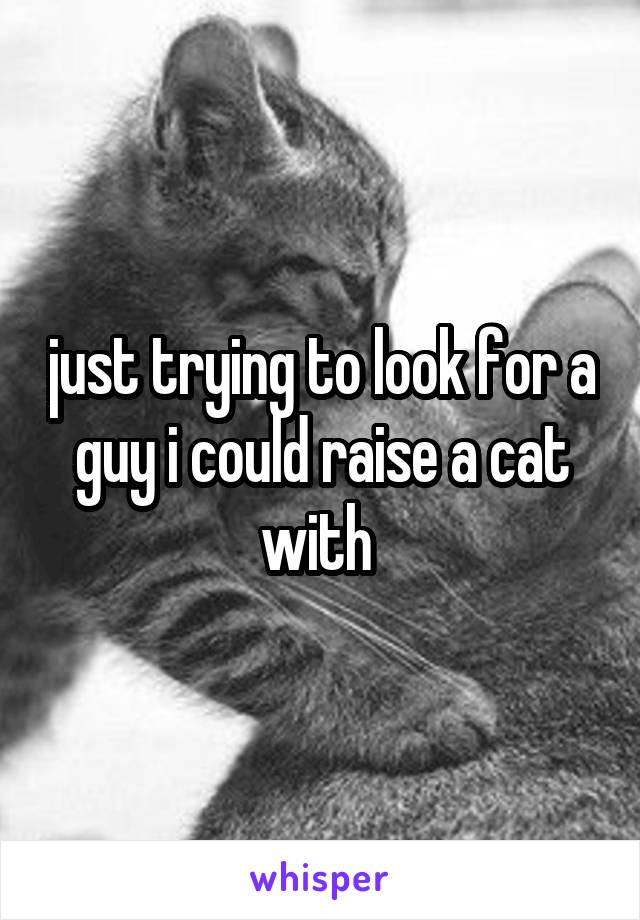 just trying to look for a guy i could raise a cat with 