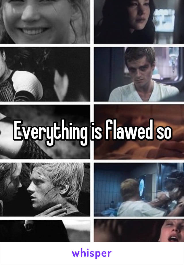 Everything is flawed so