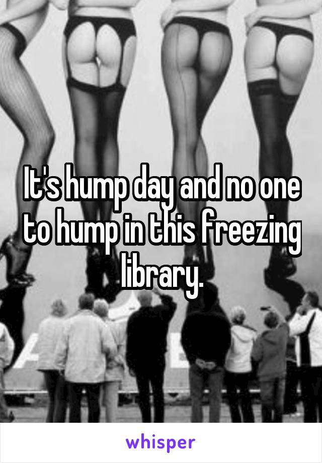 It's hump day and no one to hump in this freezing library.