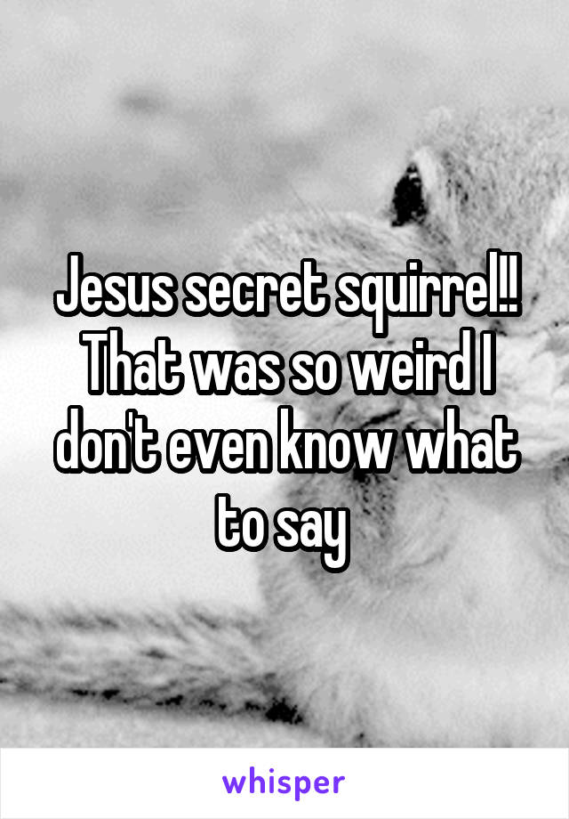 Jesus secret squirrel!! That was so weird I don't even know what to say 
