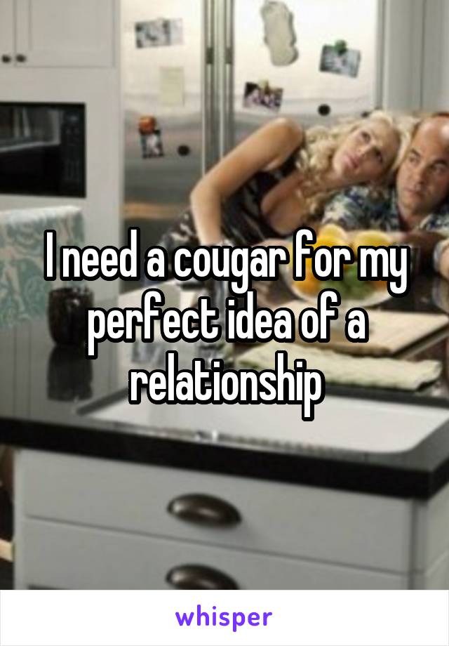 I need a cougar for my perfect idea of a relationship