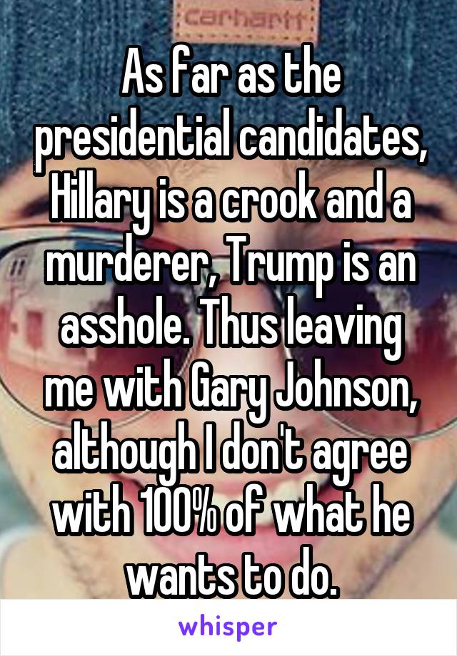 As far as the presidential candidates, Hillary is a crook and a murderer, Trump is an asshole. Thus leaving me with Gary Johnson, although I don't agree with 100% of what he wants to do.