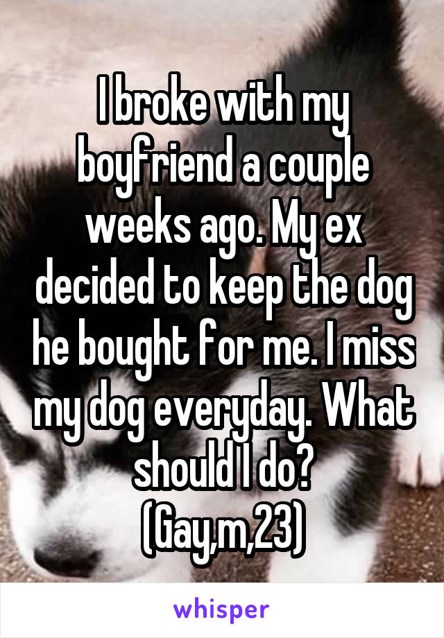 I broke with my boyfriend a couple weeks ago. My ex decided to keep the dog he bought for me. I miss my dog everyday. What should I do?
(Gay,m,23)