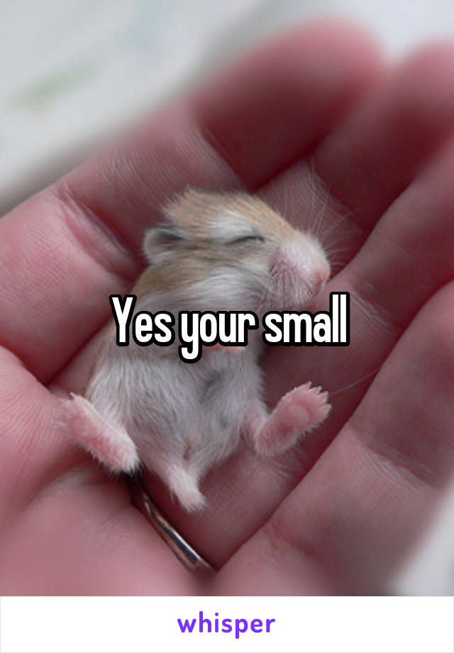 Yes your small