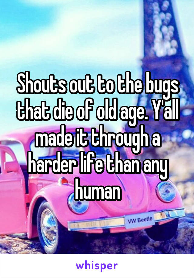 Shouts out to the bugs that die of old age. Y'all made it through a harder life than any human