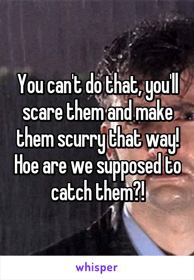 You can't do that, you'll scare them and make them scurry that way! Hoe are we supposed to catch them?!