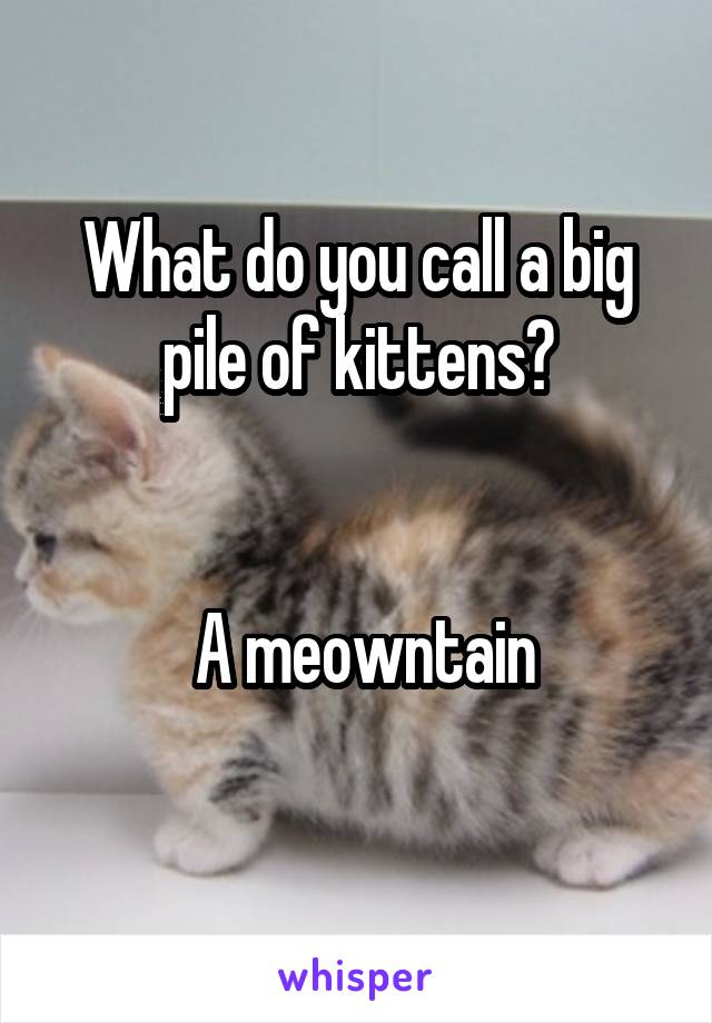 What do you call a big pile of kittens?

 
 A meowntain

