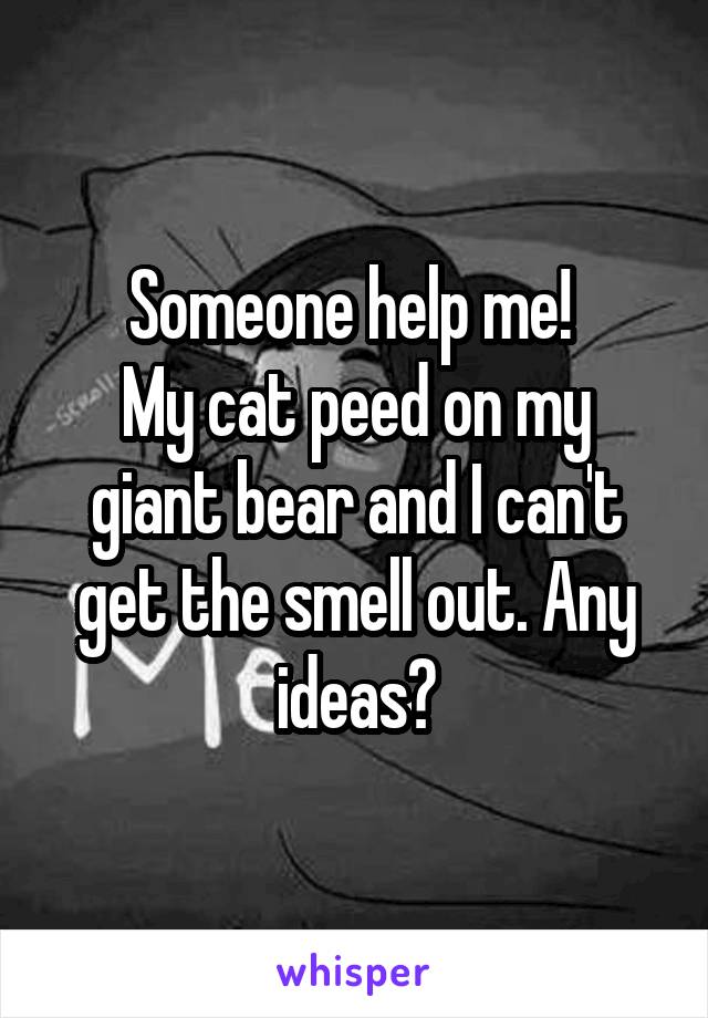Someone help me! 
My cat peed on my giant bear and I can't get the smell out. Any ideas?