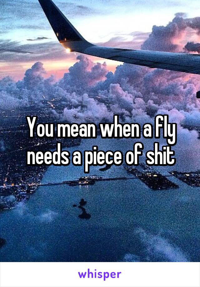 You mean when a fly needs a piece of shit