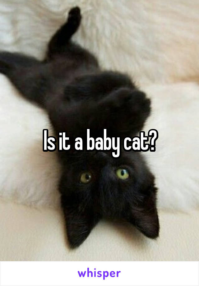 Is it a baby cat?