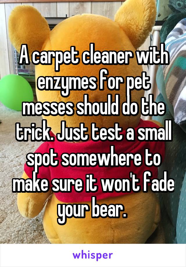 A carpet cleaner with enzymes for pet messes should do the trick. Just test a small spot somewhere to make sure it won't fade your bear. 
