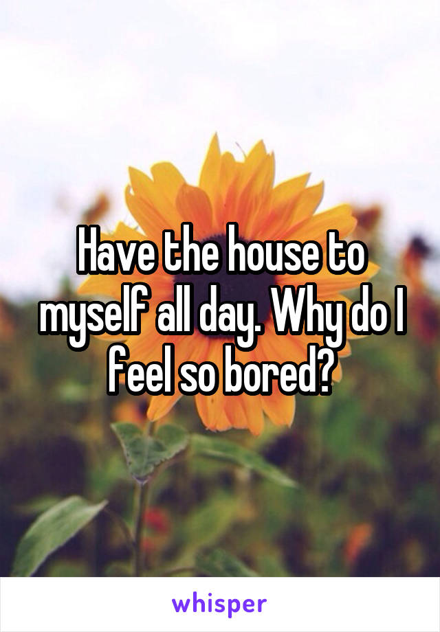 Have the house to myself all day. Why do I feel so bored?