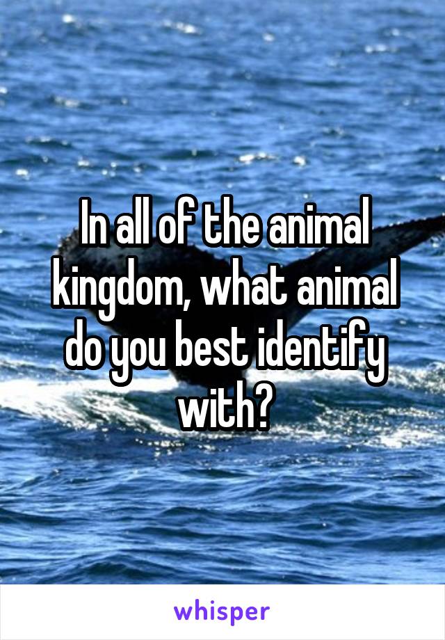 In all of the animal kingdom, what animal do you best identify with?