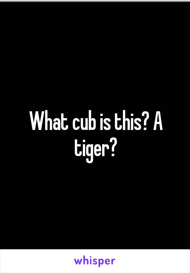 What cub is this? A tiger?