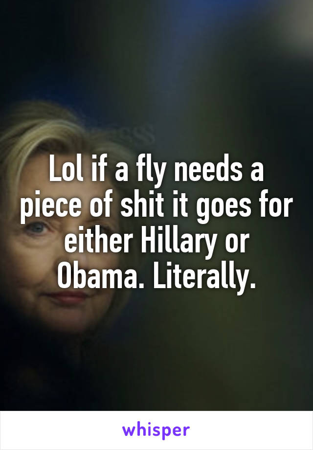 Lol if a fly needs a piece of shit it goes for either Hillary or Obama. Literally.