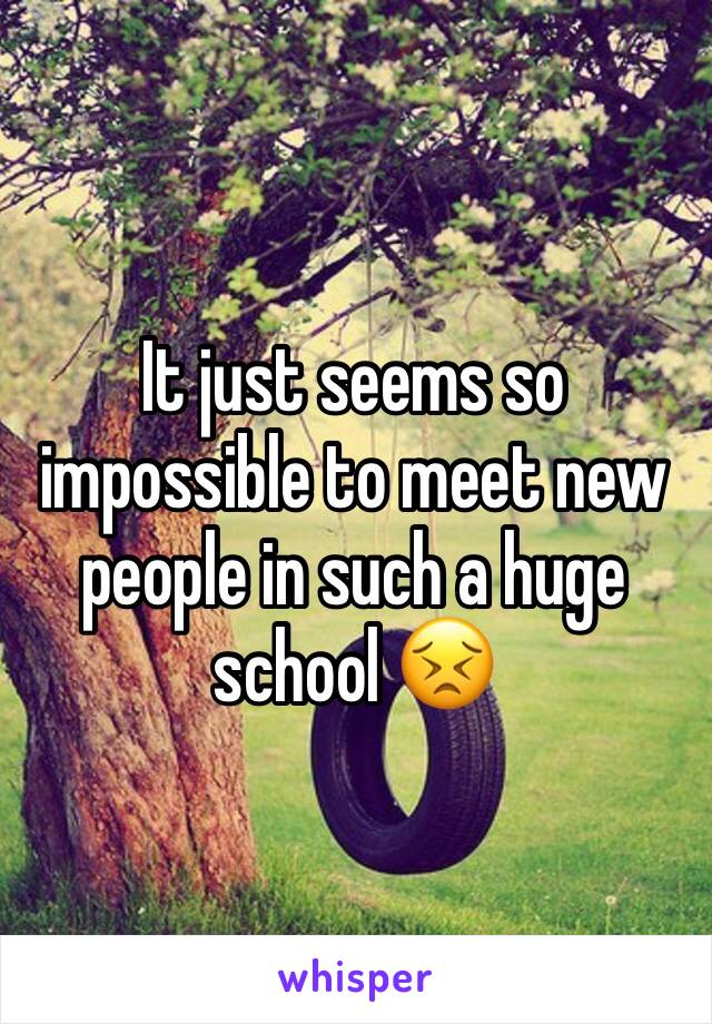 It just seems so impossible to meet new people in such a huge school 😣