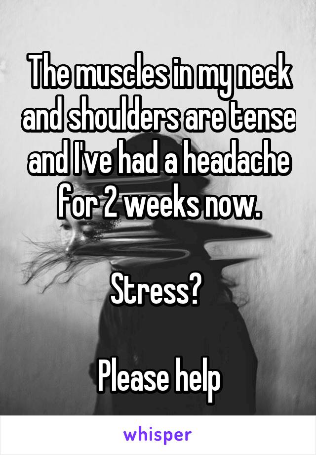 The muscles in my neck and shoulders are tense and I've had a headache for 2 weeks now.

Stress? 

Please help