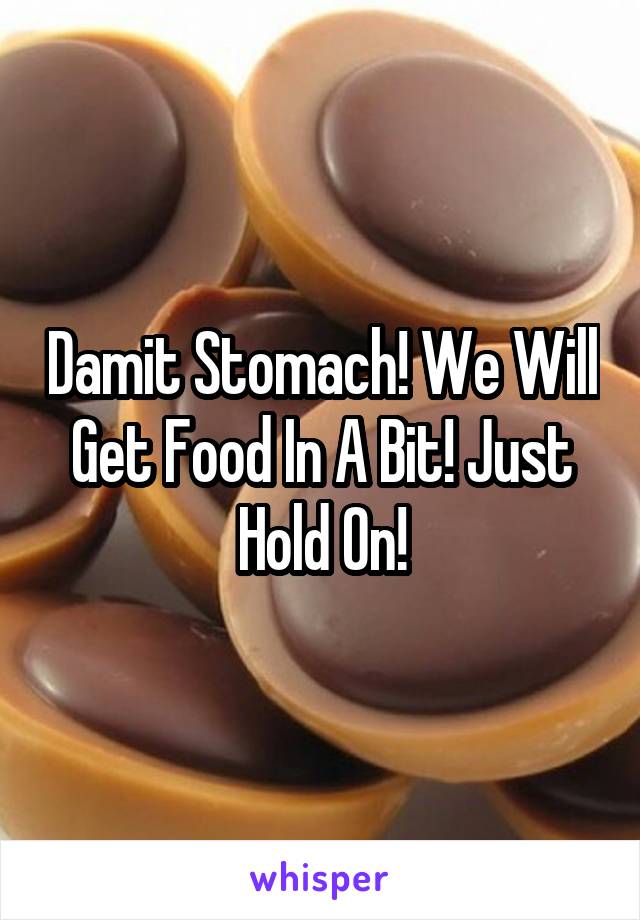 Damit Stomach! We Will Get Food In A Bit! Just Hold On!