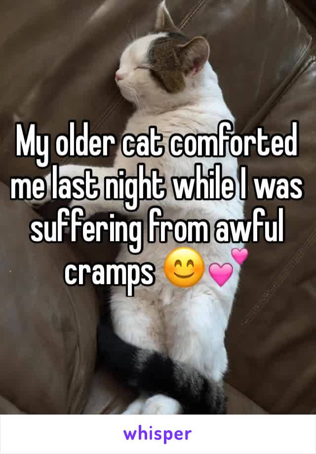 My older cat comforted me last night while I was suffering from awful cramps 😊💕