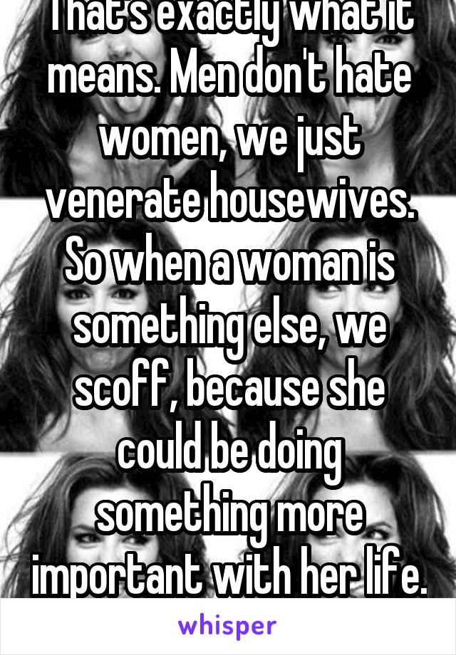 That's exactly what it means. Men don't hate women, we just venerate housewives. So when a woman is something else, we scoff, because she could be doing something more important with her life. 