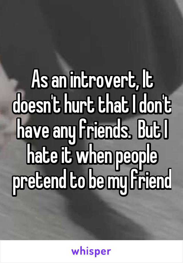 As an introvert, It doesn't hurt that I don't have any friends.  But I hate it when people pretend to be my friend