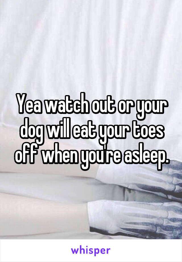 Yea watch out or your dog will eat your toes off when you're asleep.