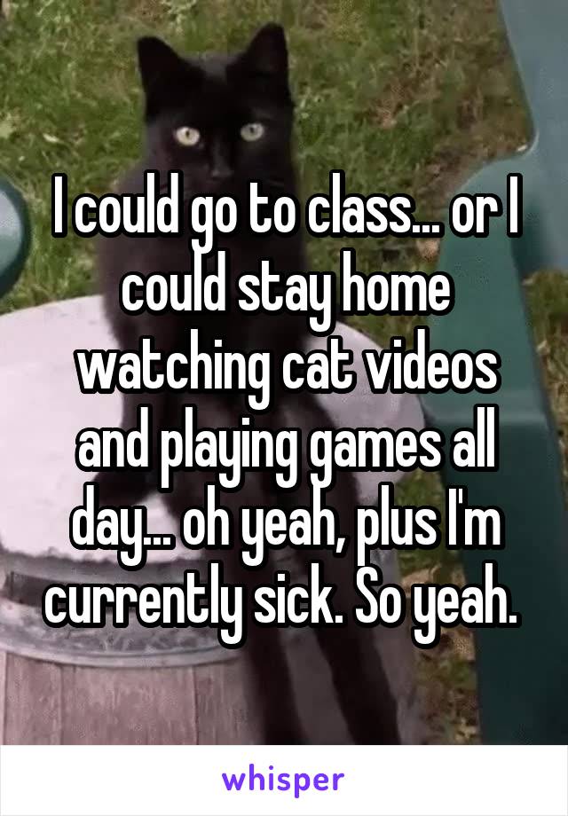 I could go to class... or I could stay home watching cat videos and playing games all day... oh yeah, plus I'm currently sick. So yeah. 