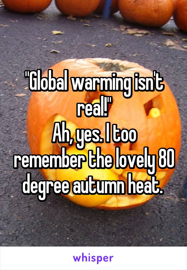 "Global warming isn't real!"
Ah, yes. I too remember the lovely 80 degree autumn heat. 