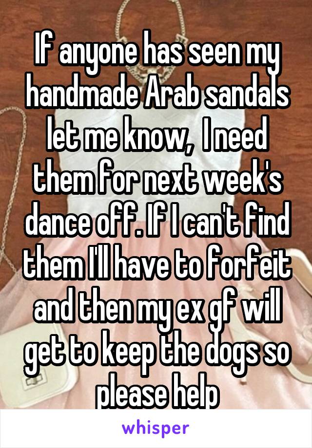 If anyone has seen my handmade Arab sandals let me know,  I need them for next week's dance off. If I can't find them I'll have to forfeit and then my ex gf will get to keep the dogs so please help