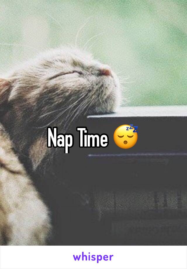 Nap Time 😴