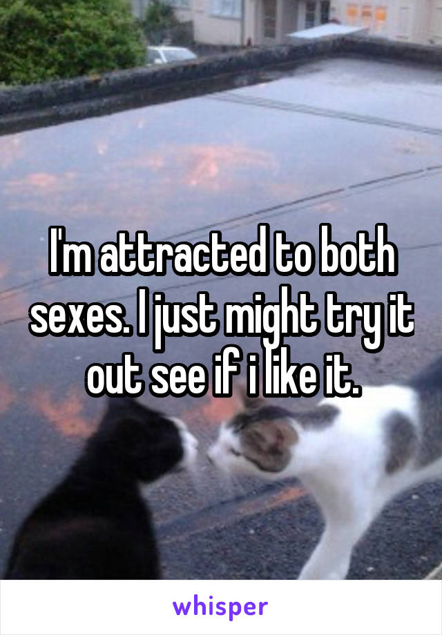 I'm attracted to both sexes. I just might try it out see if i like it.