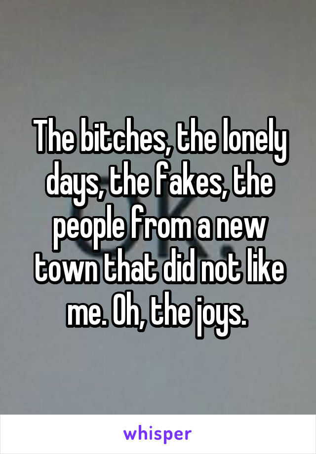The bitches, the lonely days, the fakes, the people from a new town that did not like me. Oh, the joys. 