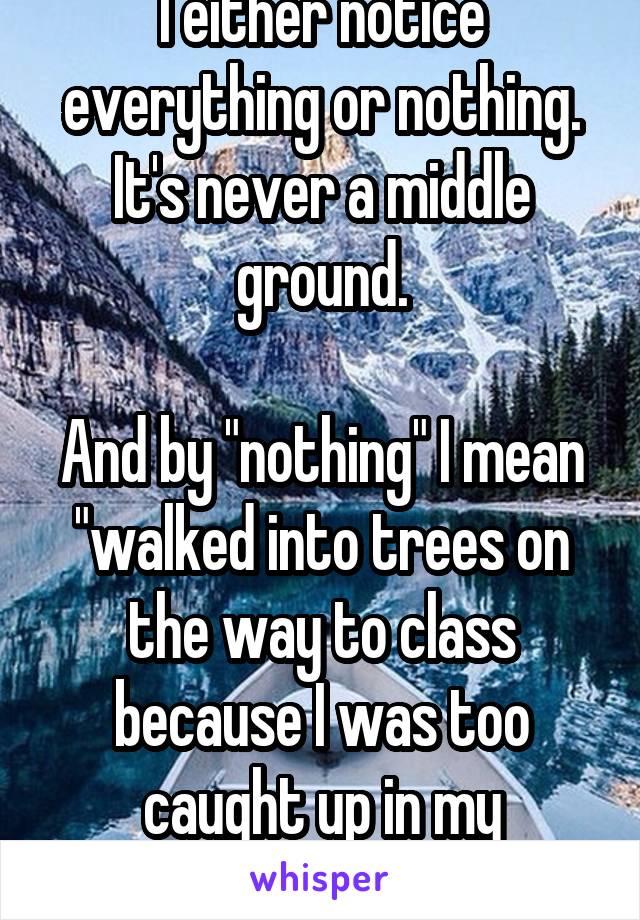 I either notice everything or nothing. It's never a middle ground.

And by "nothing" I mean "walked into trees on the way to class because I was too caught up in my thoughts". 