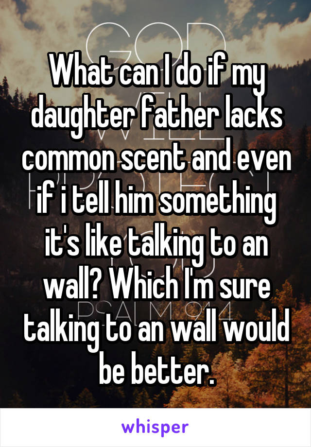 What can I do if my daughter father lacks common scent and even if i tell him something it's like talking to an wall? Which I'm sure talking to an wall would be better.