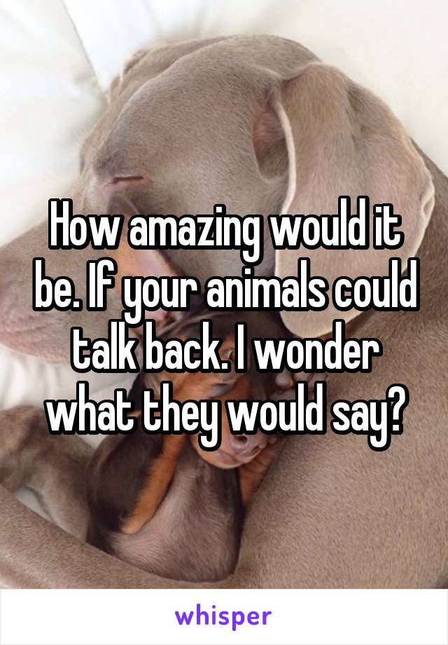 How amazing would it be. If your animals could talk back. I wonder what they would say?