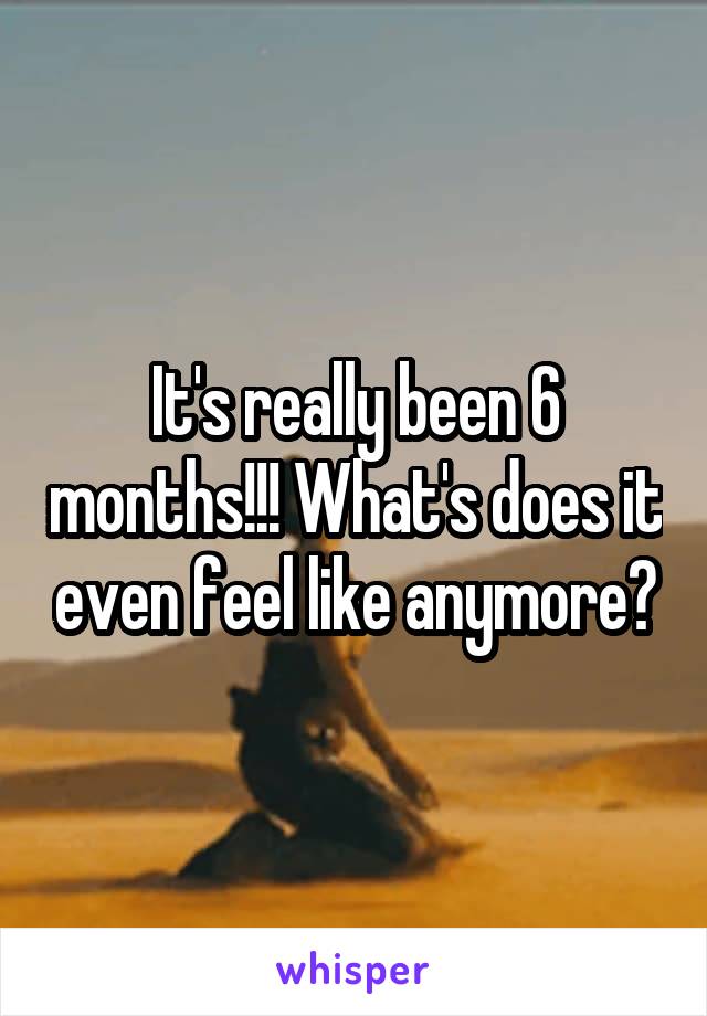 It's really been 6 months!!! What's does it even feel like anymore?