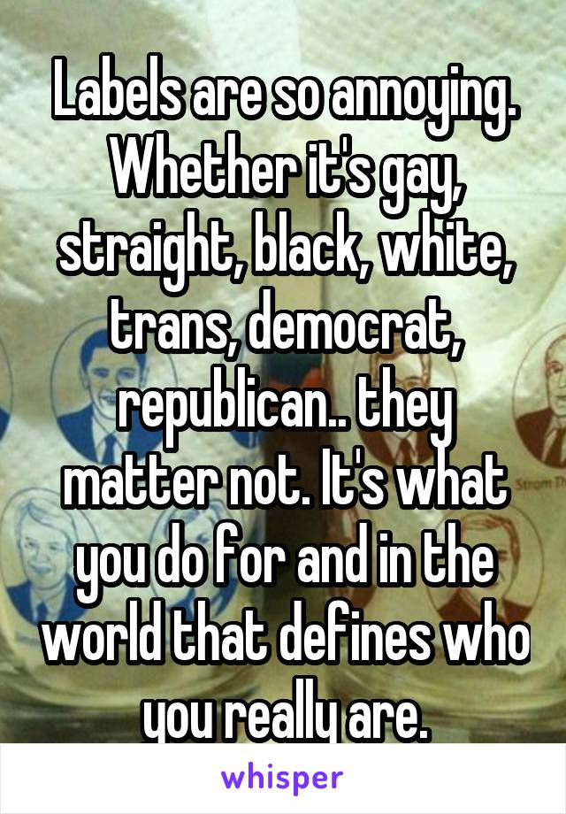 Labels are so annoying. Whether it's gay, straight, black, white, trans, democrat, republican.. they matter not. It's what you do for and in the world that defines who you really are.