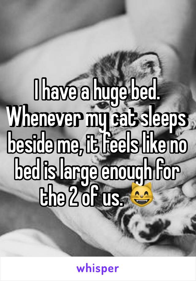 I have a huge bed. Whenever my cat sleeps  beside me, it feels like no bed is large enough for the 2 of us. 😸