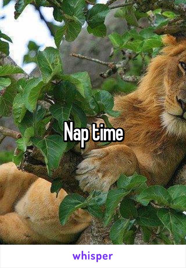 Nap time