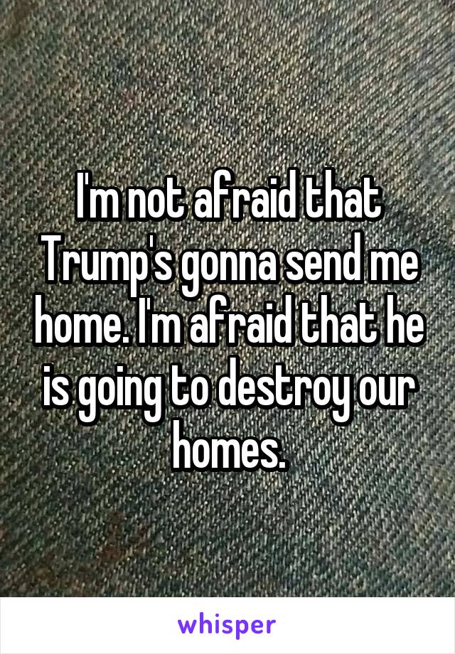 I'm not afraid that Trump's gonna send me home. I'm afraid that he is going to destroy our homes.