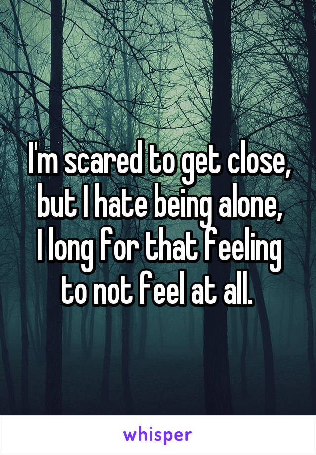 I'm scared to get close, but I hate being alone,
I long for that feeling to not feel at all. 