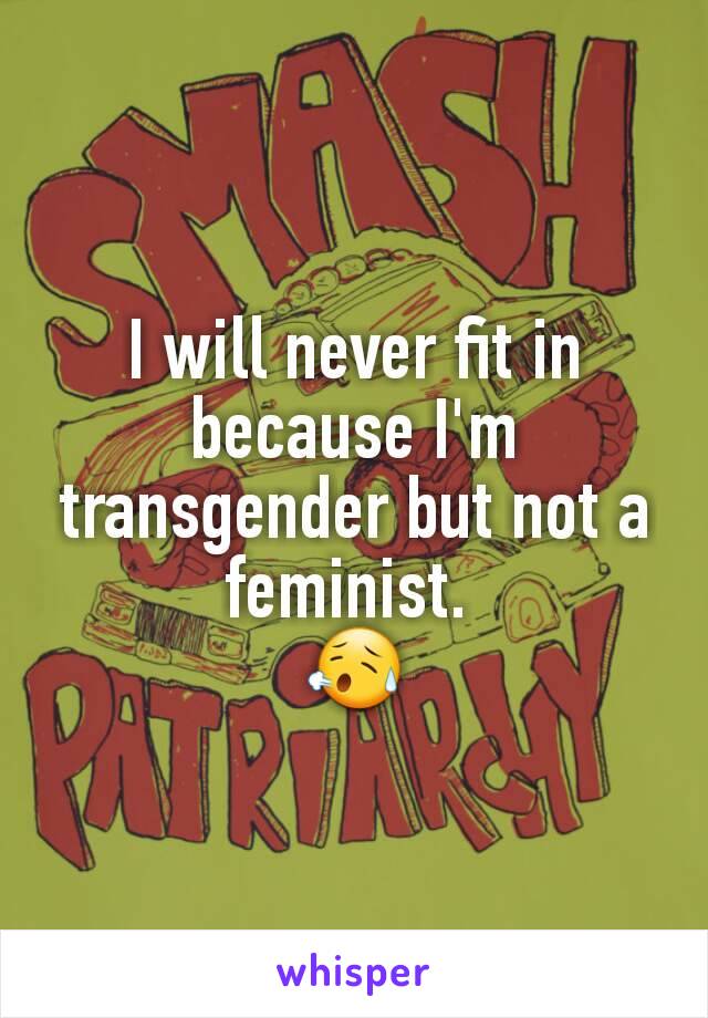 I will never fit in because I'm transgender but not a feminist. 
😥