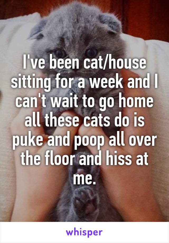 I've been cat/house sitting for a week and I can't wait to go home all these cats do is puke and poop all over the floor and hiss at me.